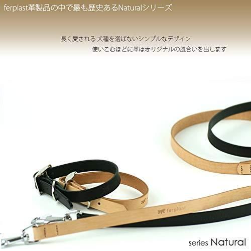 ジオット