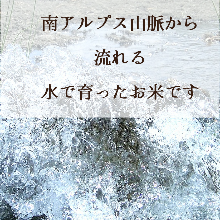 武川米コシヒカリ（精米）10㎏