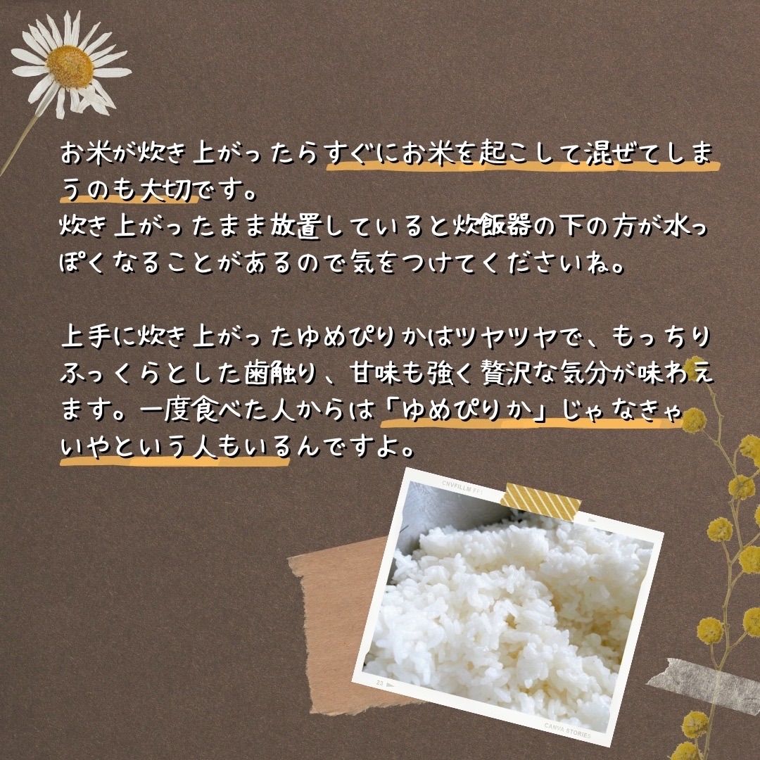 北海道産米 令和5年産 新米 白米 減農薬 ゆめぴりか 一等米 20㎏ - 米