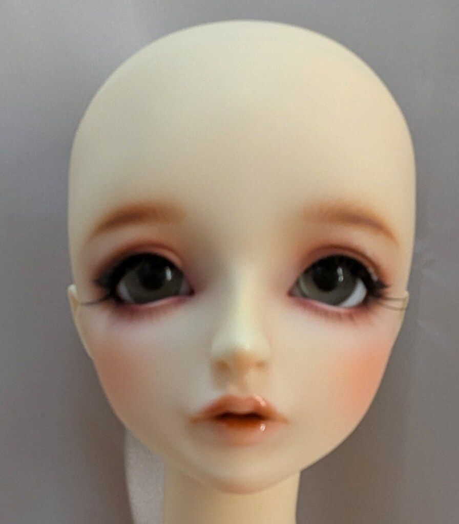ボークス SDGr女の子