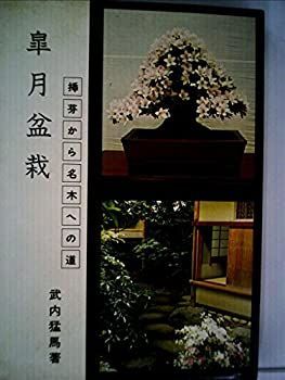 【中古-非常に良い】 皐月盆栽 (1974年)