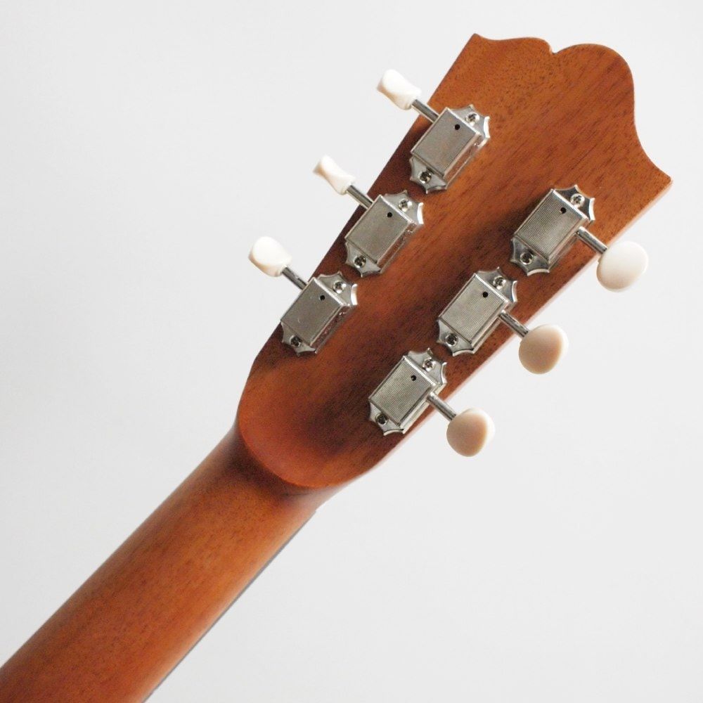 Singer Acoustic Imagine Series P01 Acoustic Guitar with Gig Bag