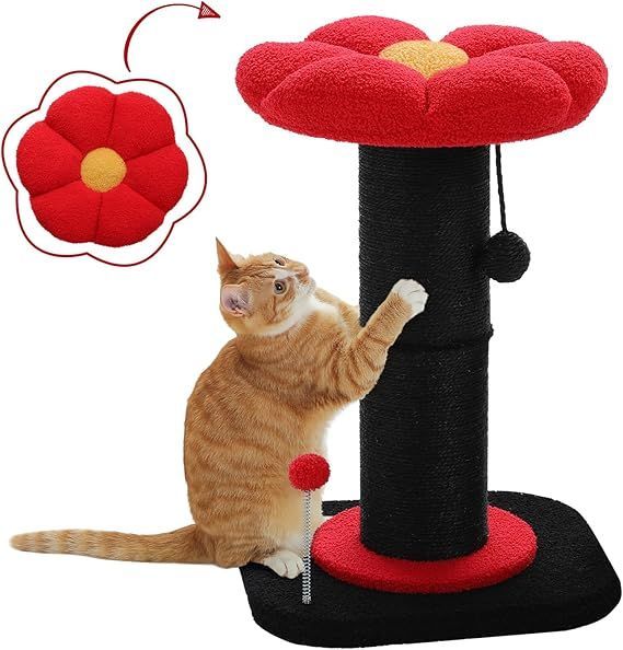 PAWZ Road 猫 爪研ぎ キャットタワーミニ 極太 爪研ぎポール 柱直径14cm お花 猫タワー 低い コンパクト 省スペース 天然サイザル麻紐 バリバリ ガリガリ 据え置き 組立簡単 おもちゃ ポンポン 