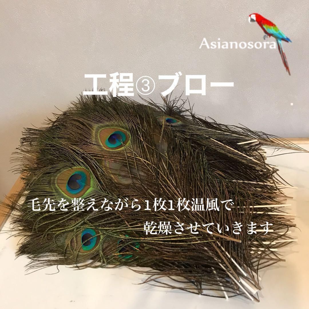 100枚■【クジャク 】孔雀の羽根 目玉 パーツ 鳥 羽根 素材 ❤️【クジャク10枚】孔雀の羽根 目玉 パーツ 鳥の羽根