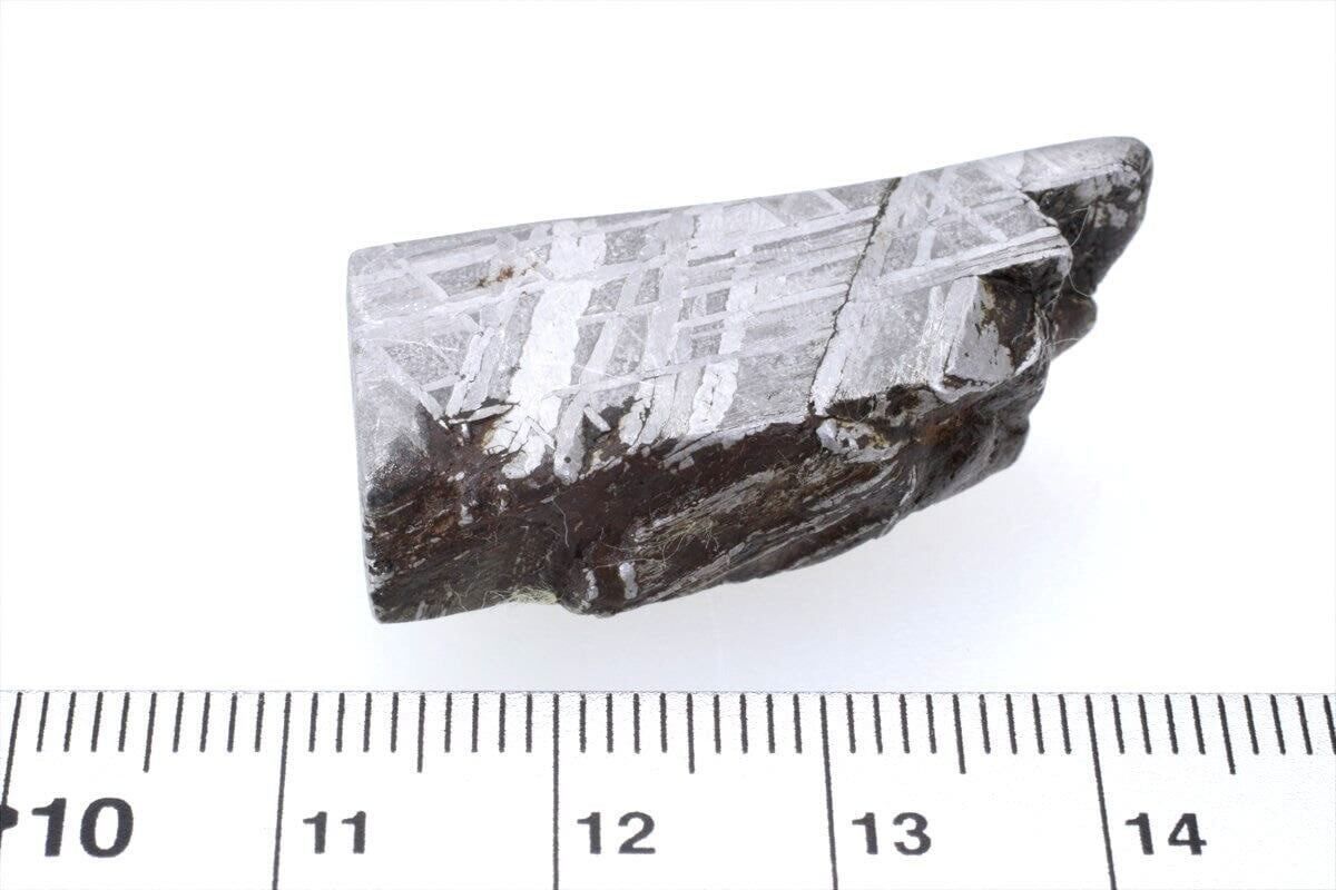 ムオニオナルスタ 隕石 24.0g オクタへドライト 鉄隕石 標本