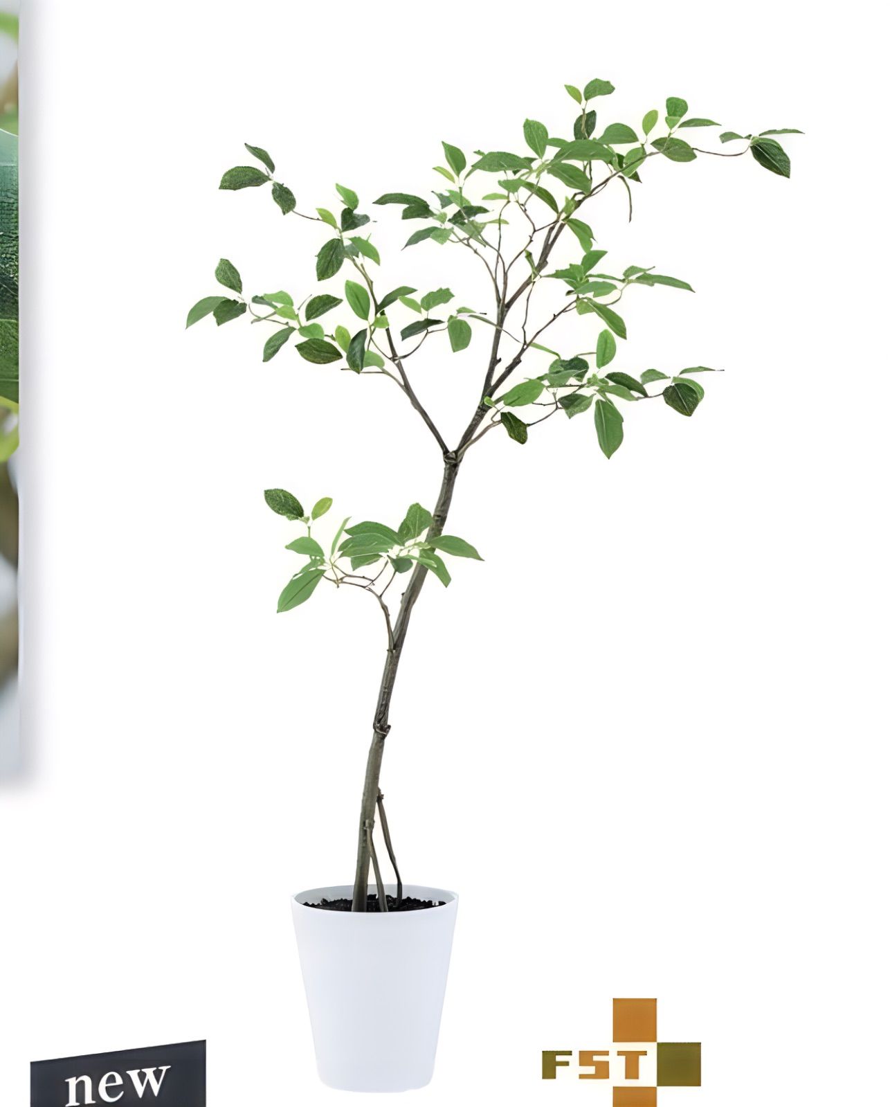 光触媒　人工観葉植物　ウォールグリーン　フェイクグリーン　ガジュマル150 光触媒 人工観葉植物 ウォールグリーン フェイクグリーン