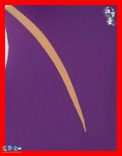 社交ダンスドレス 立体花