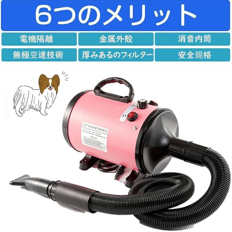 犬