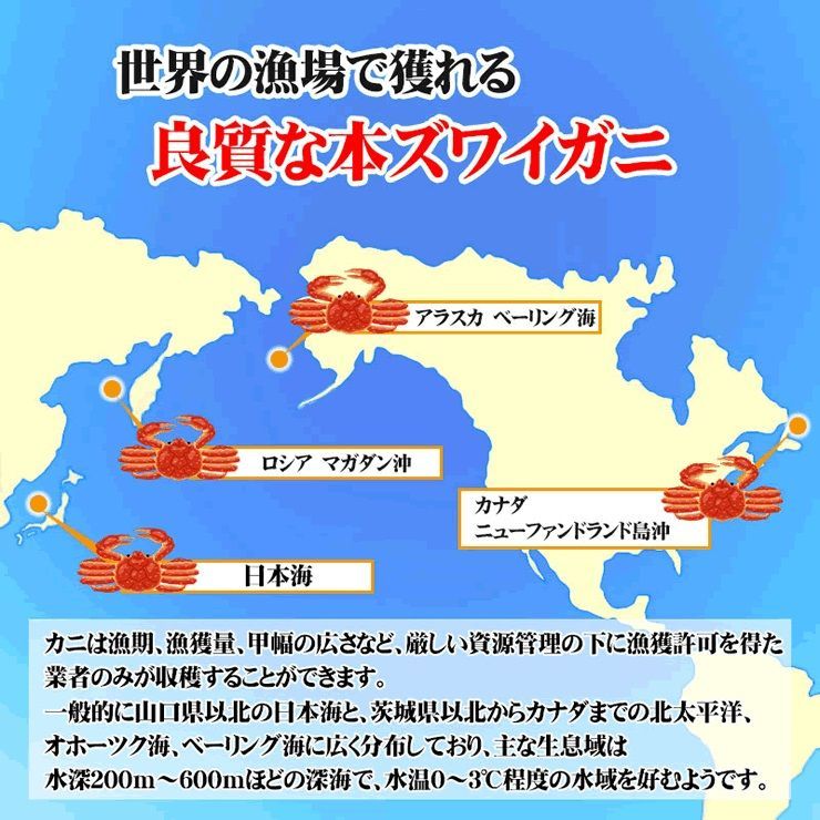 お刺身でずわい蟹500g特大太脚棒肉ポーション[冷凍]かにカニズワイガニお歳暮