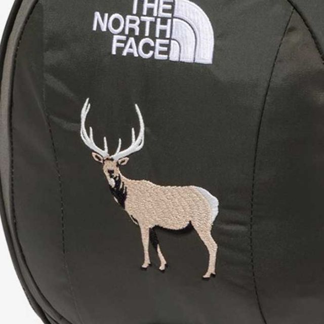NORTH FACE