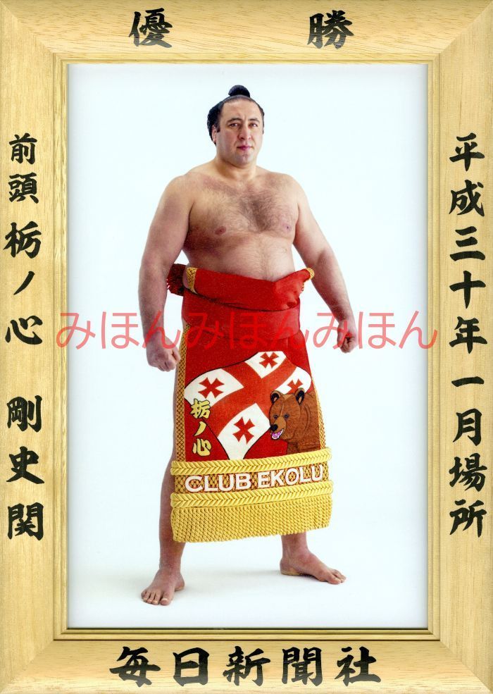 栃ノ心剛史関優勝ミニ額 大相撲ミニ額 大相撲優勝額平成３０（２０１８）年１月場所 優勝 前頭 栃ノ心剛史関（初優勝） ※受注生産品のため、ご注文後はいかなる理由でも返品、返金はできません