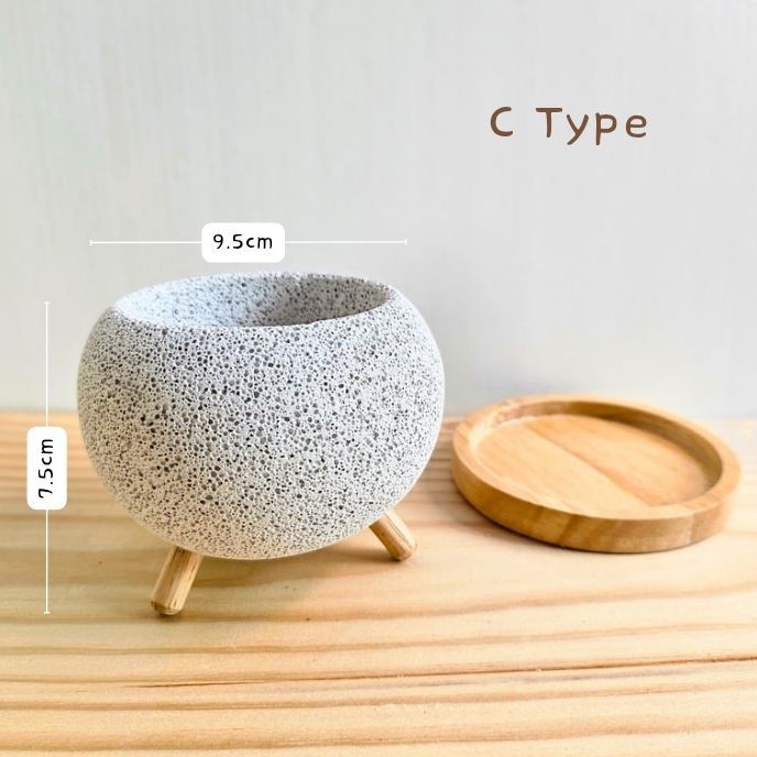 Mサイズ〚 植木鉢 + 木製受け皿付き 〛軽い鉢 塊根植物 コーデックス