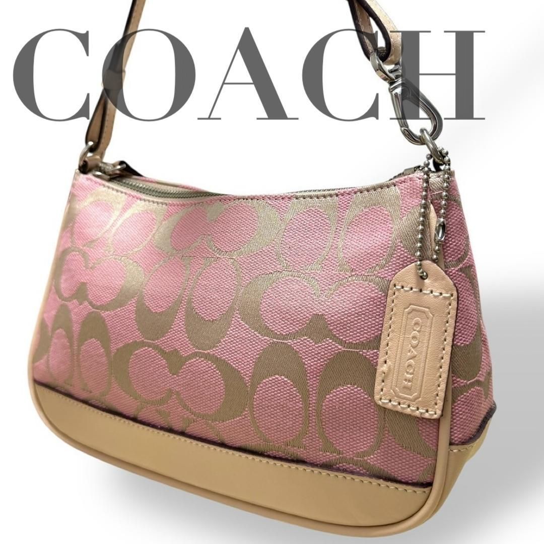 ☆希少☆COACH コーチ アクセサリーポーチ ショルダーバッグ