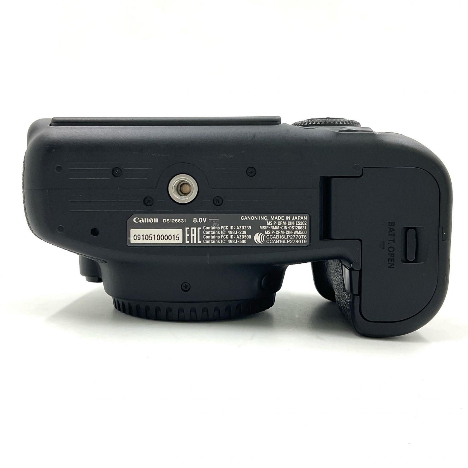 WACKO MARIA 日本画 ガラシャツ 長袖 アロハ ワコマリア 狩野永徳