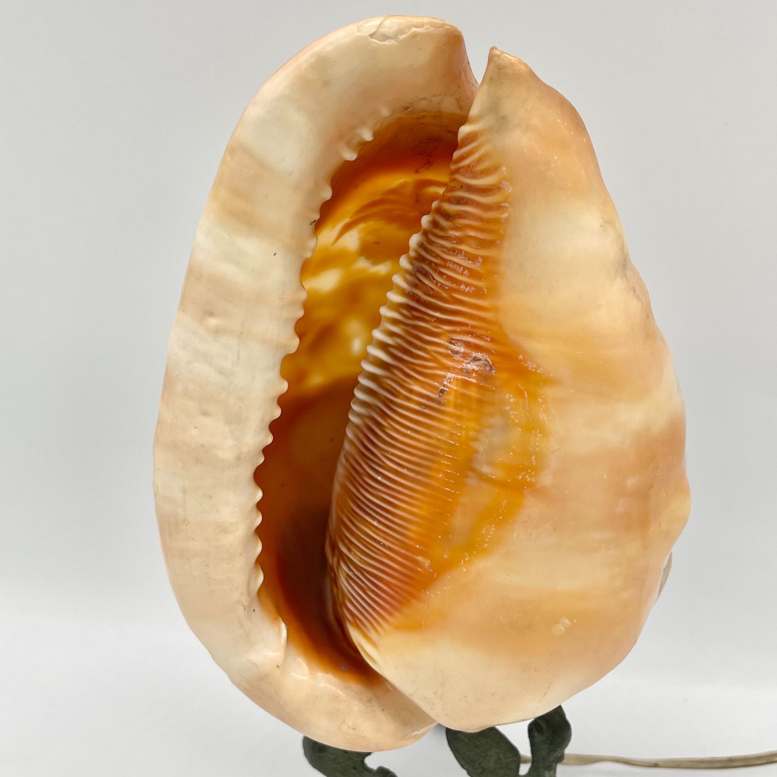 アンティーク】シェルカメオランプ 動作確認済み - メルカリ