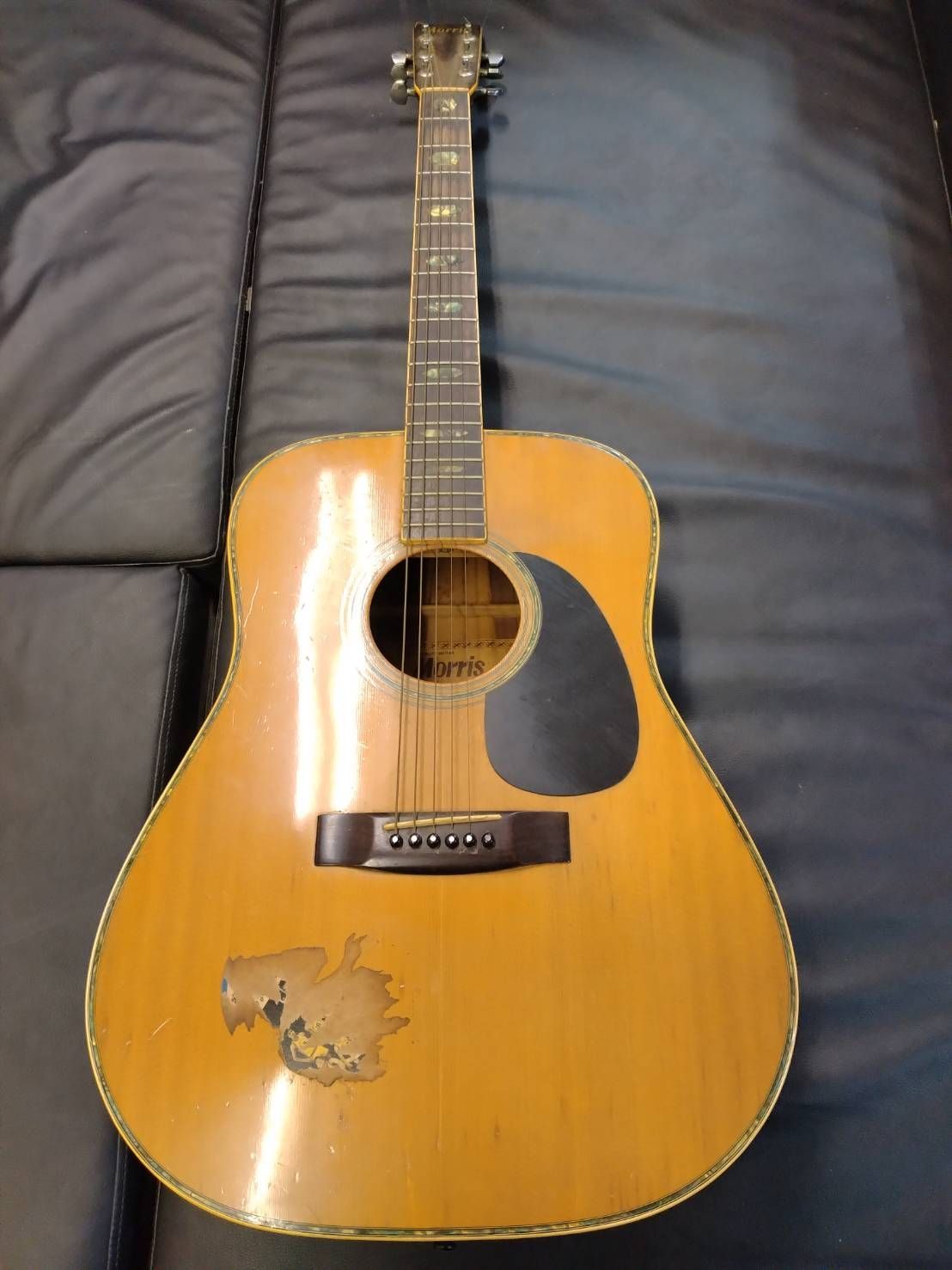 楽器・機材 Morris W-40 アコースティックギター