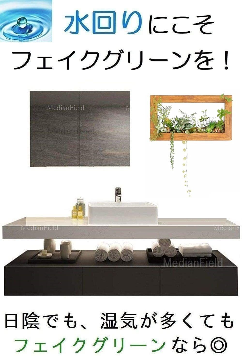 植物 サボテン