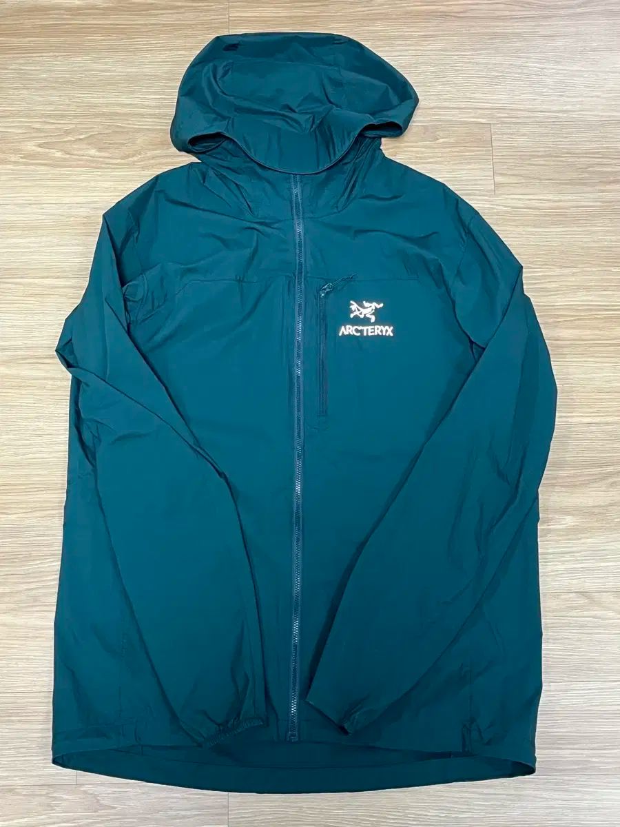 ARC TERYX スコーミッシュ フーディ ピテアス M 103程度