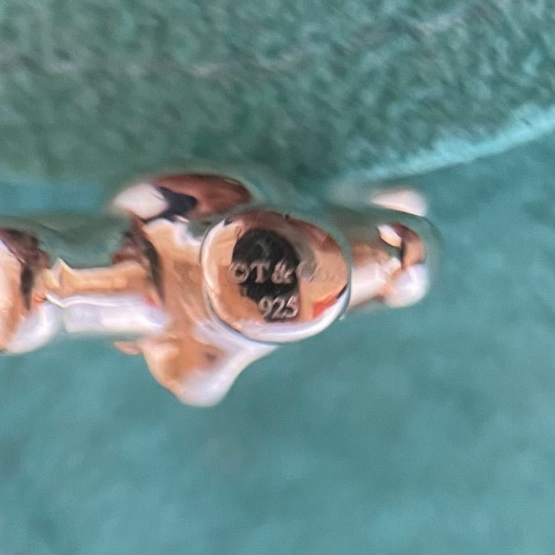 ティファニー テディベア ベア チャーム ペンダント シルバー RY2fe ティファニー テディベア ベア チャーム ペンダント シルバー