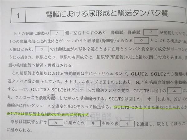 駿台 生物頻出問題 テキスト 2024 夏期 008s0D - メルカリ