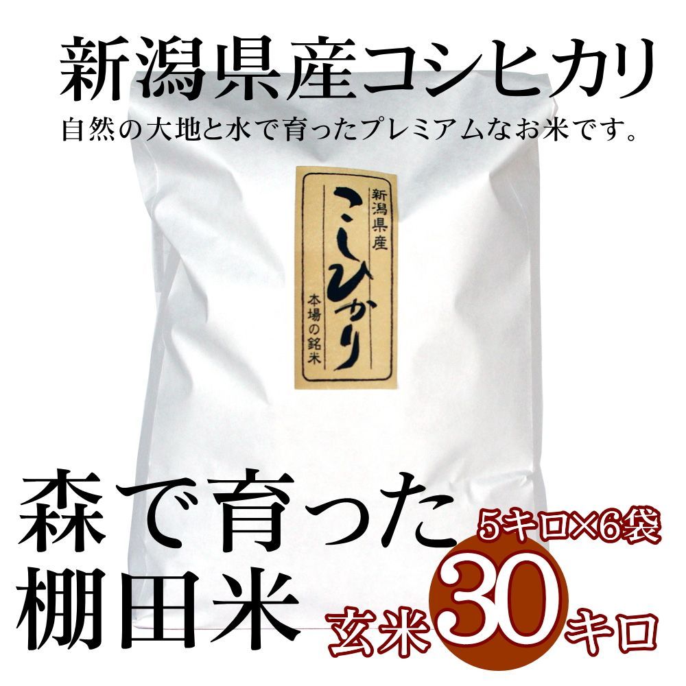 新潟米コシヒカリ 玄米 30kg（5kg×6袋）新潟産こしひかり 産地直送