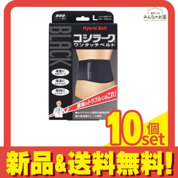 RUKURUKU様専用/紫陽花と富士山とシマエナガ オルゴナイトキーホルダー