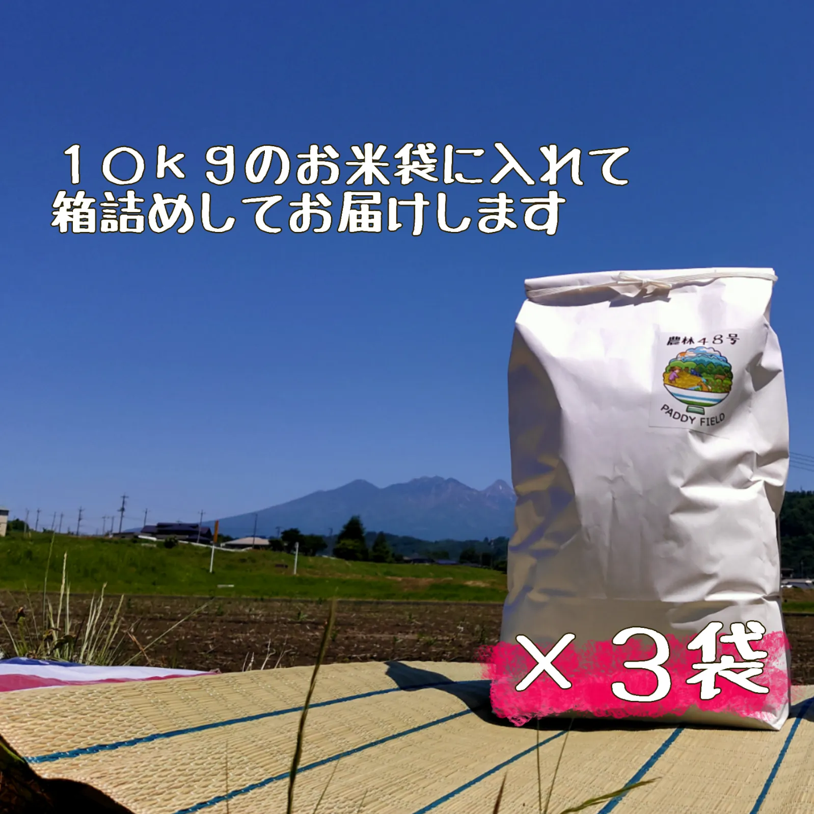 【令和6年産完売】アイガモと一緒に農薬不使用で育ったお米★農林48号 10kg×3 玄米