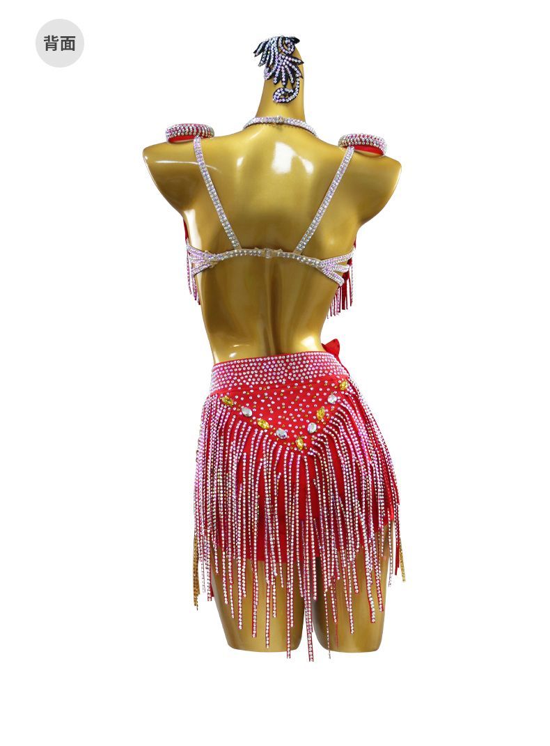 感 社交ダンス ドレス レディース 競技用 ステージ 舞台衣装 発表会 ダンスウェア ラテン サンバ ルンバ チャチャ ワルツ タンゴ モダンダンス パーティー 演出服 フラメンコ ベリーダンス フォーマルドレス P-35 LLC-HASEGAWATOSO_COM