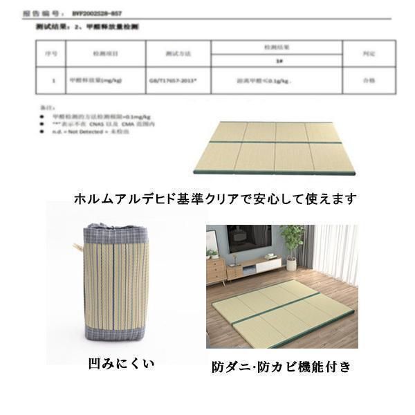 送料無料 畳マットレス い草 マットラグ 折りたたみ カーペット 畳ベッド シングル 消臭 吸汗 除湿 吸湿 防カビ 布団 いぐさ 敷きパッド 置き畳 ござ