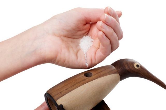 SPRING (スプリング コペンハーゲン) | THE ストア SALT PENGUIN