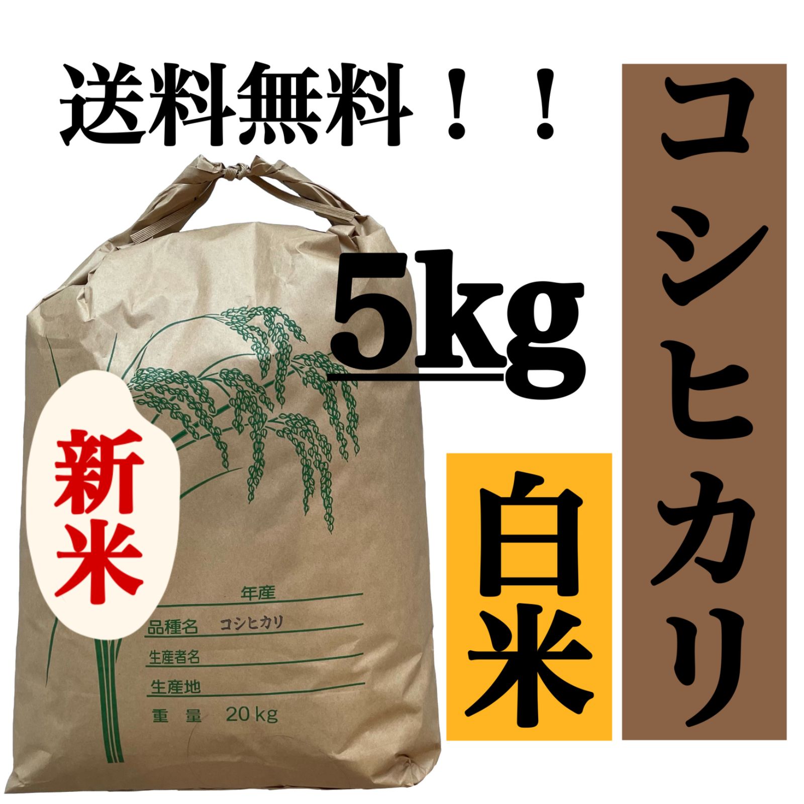 白米 5kg コシヒカリ 新米 埼玉県産 令和5年産 送料無料 米 5キロ