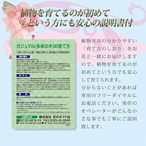 花のギフト社 プレゼント