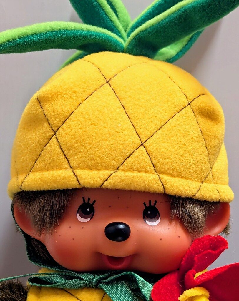パイナップル　モンチッチ littlebox2030_z0068