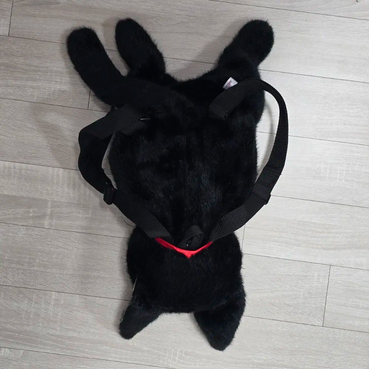 魔女の宅急便_Zizi 猫