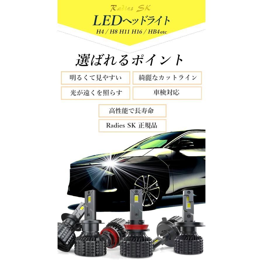 12V ホワイト