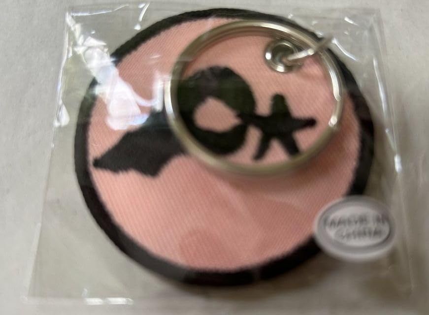 ザ・クロマニヨンズ HEY! WONDER 2024 キーホルダー ワッペン