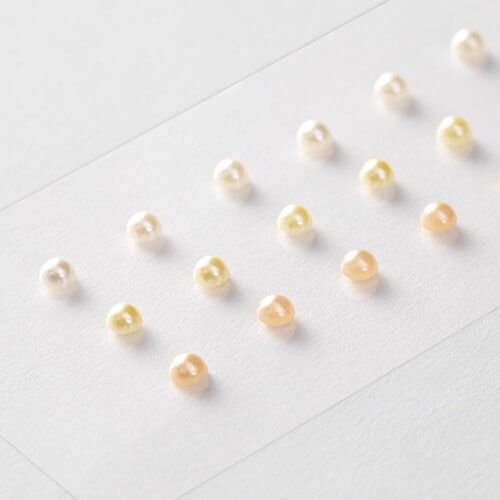  まとめ ミドリ シール PCミュージアム モチーフ パール ナチュラル 82414 スタンプ 印鑑 印章 スタンプ