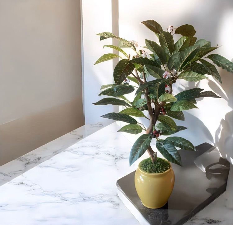 光触媒　人工観葉植物　ウォールグリーン　フェイクグリーン　コーヒーの木実付き 光触媒 人工観葉植物 ウォールグリーン フェイクグリーン コーヒーの木