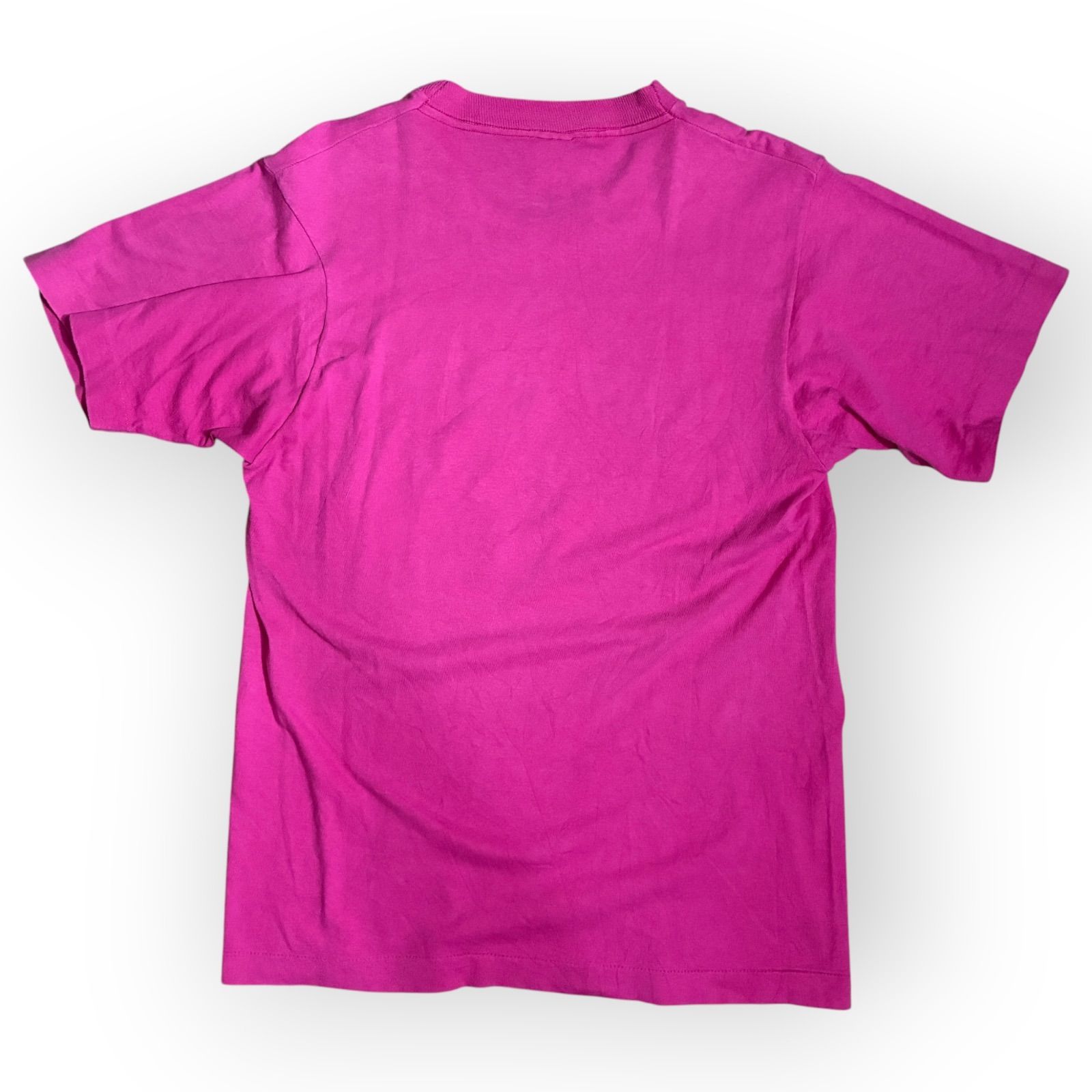 90s USA製】FRUIT OF THE LOOM シングルステッチ アート Tシャツ M