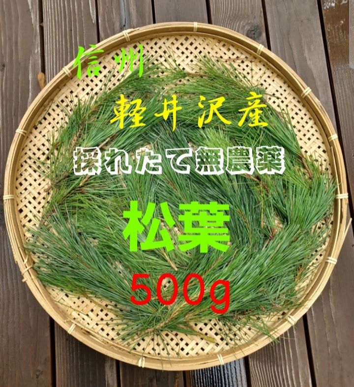 採れたて新鮮♪︎信州軽井沢産 天然無農薬 赤松松葉 500g 松の葉 野菜 松葉茶松ジュースに レシピ付き - メルカリ