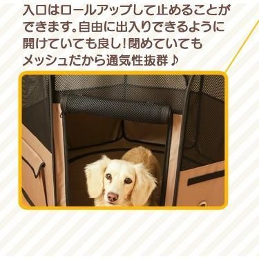 メッシュ
