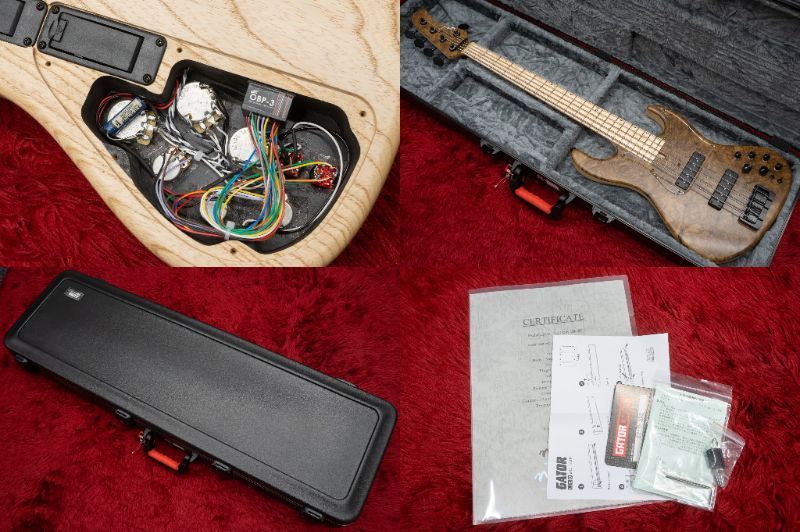 希少品‼️Wood custom guitars vibe5 ハードケース付き 希少品‼️Wood