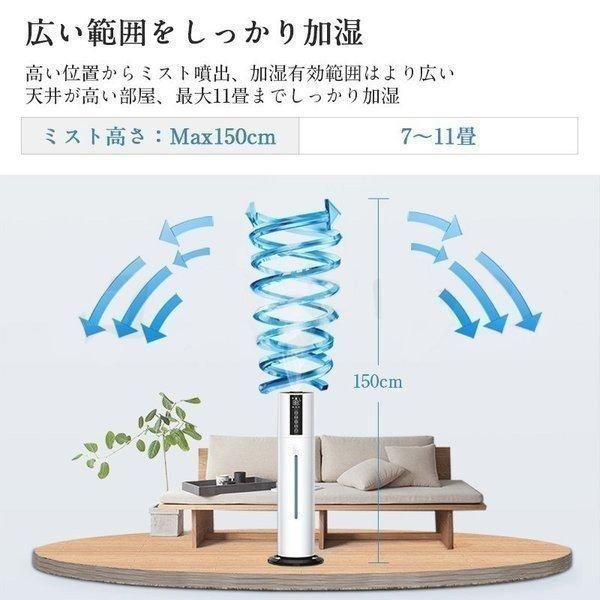 スチーム ミスト