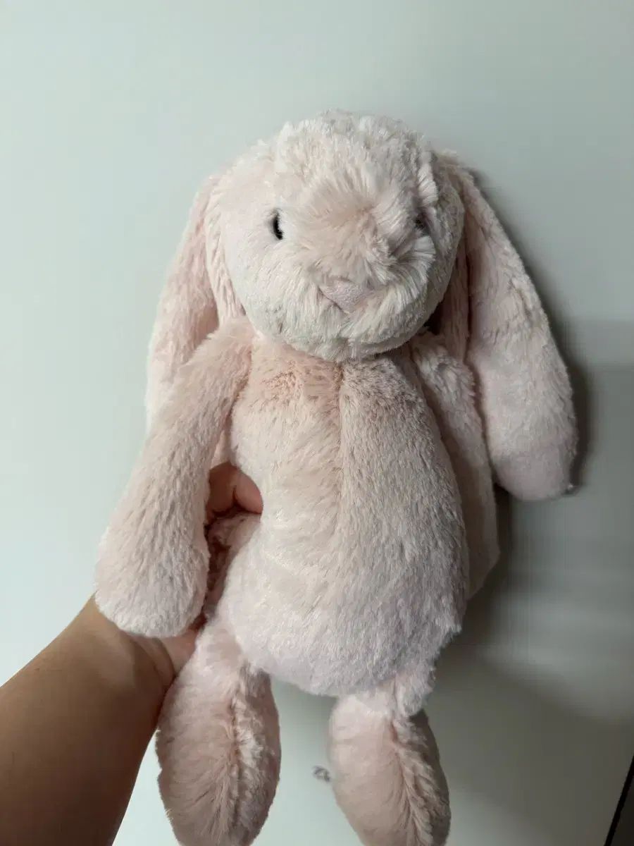 柔らかな JELLYCAT ジェリーキャット BUNNY M
