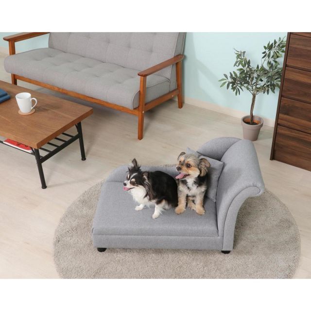 不二貿易 ペットカウチソファ SF-525 GY グレー クッション付き エレガント 感 ペットベッド ペット家具 インテリア