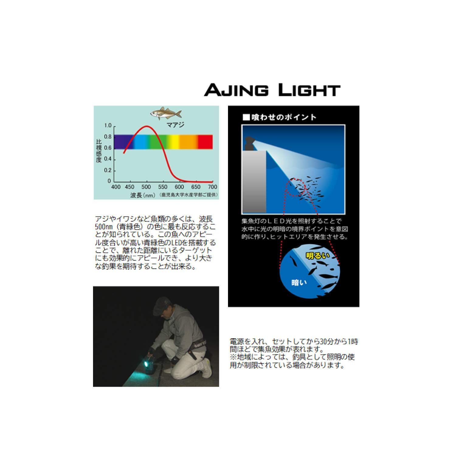 アジングライト