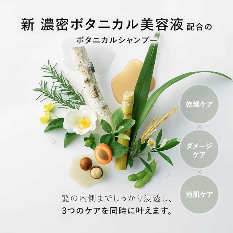 セット 大容量