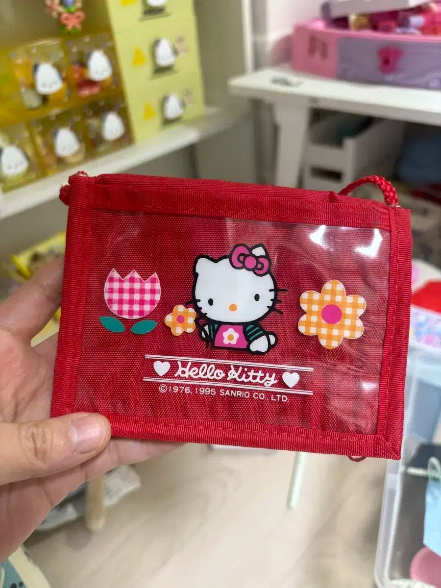 ペドロ・アルモドバル 人気 セレクション〈2枚組〉欲望の法則、ライブ