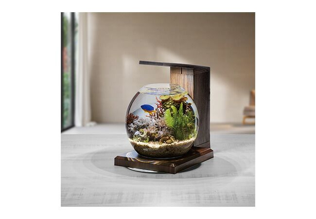グラスアクア PERCO B-Dark Wood オールインワン水槽セット 観賞魚用品 