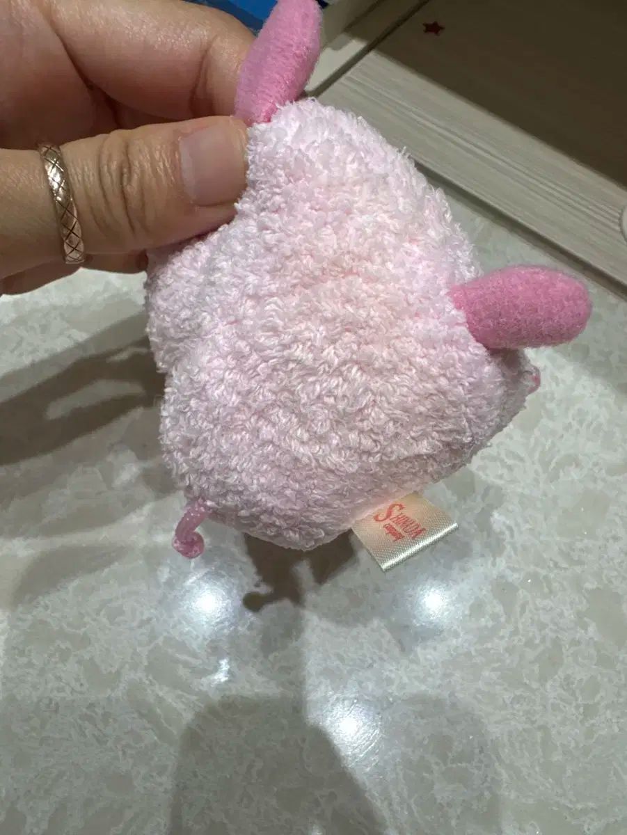 子犬 豚